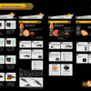 Roar Process Chart